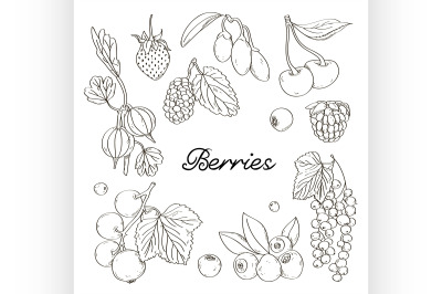 Berries icons set