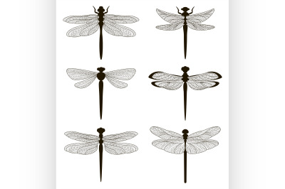 Set of silhouettes of dragonflies