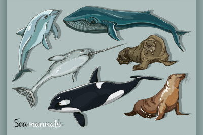 Sea mammals animal collection icons set