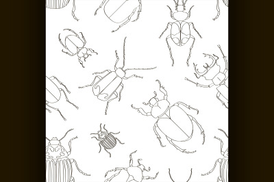 Set of beetle illustrations pattern