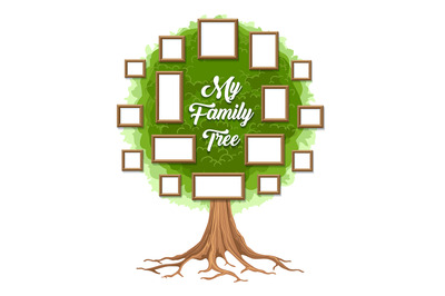 Family tree with photo frames.