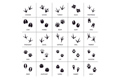 Animals foot marks. Animal footprint&2C; animals paw silhouettes&2C; bear&2C; c