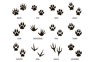 Predator footprint. Wild animals paw prints&2C; cat&2C; bear&2C; tiger&2C; fox and