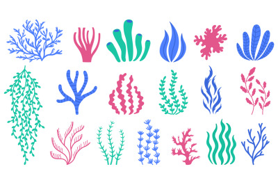 Sea corals. Underwater plants, hand drawn marine botanical seaweed, po