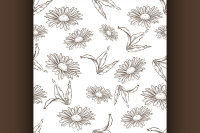 Vector chamomile seamless pattern
