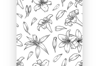 Vector hand drawn lily seamless pattern