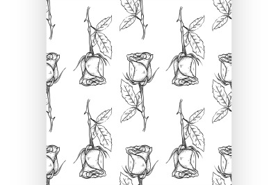 Vector hand drawn rose seamless pattern