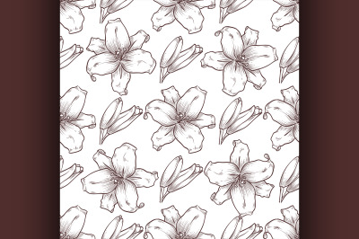 Vector lily seamless pattern of flowers