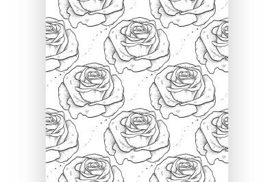 Vector rose seamless pattern of flowers