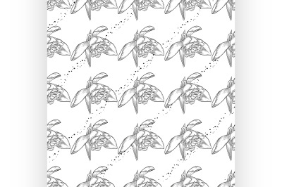 Seamless pattern with snowdrops