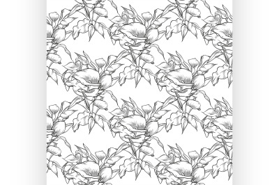 Vector callas seamless pattern of flowers