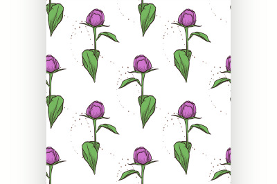 Vector color seamless pattern of peony flowers