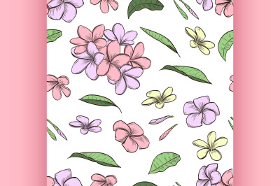 Vector color seamless pattern of plumeria flowers