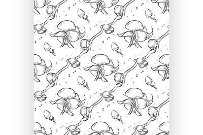 Vector hand drawn orchid seamless pattern
