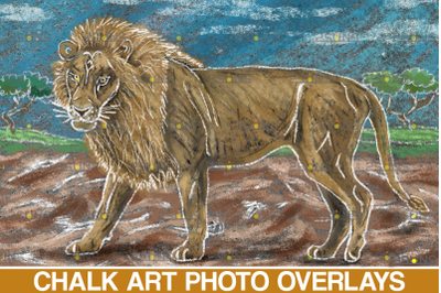 Sidewalk Chalk art Overlay, Lion backdrop and safari