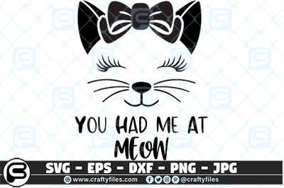 cat you had me at MEOW SVG Cut file For cricut and silhouette