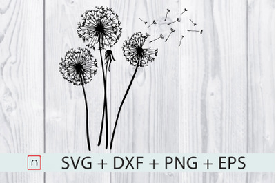 Dandelions SVG