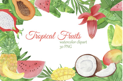 Watercolor tropical fruits clipart