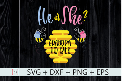 Gender Reveal,What Will It Bee,Grandpa