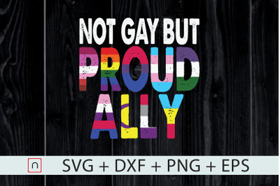 LGBT,Not Gay But Proud Ally,Funny Gift