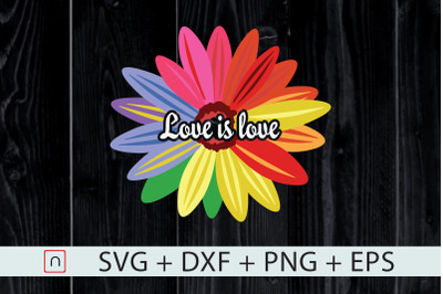 Love Is Love,Love Daisy,LGBT Rainbow