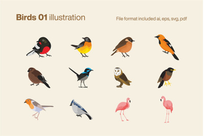 Birds 01 illustration