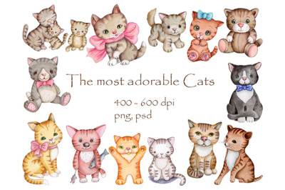 The most adorable Cats. Watercolor illustrations.