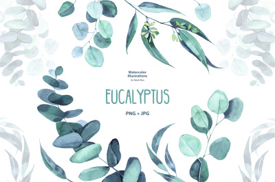 Watercolor eucalyptus
