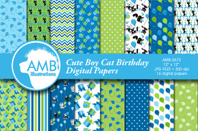 Birthday Boy Cat Papers AMB-2673