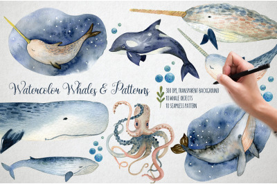 Watercolor Whales &amp; Patterns
