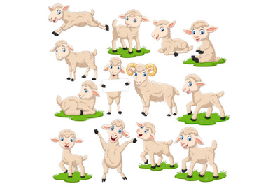 Cartoon Lamb Vector Set