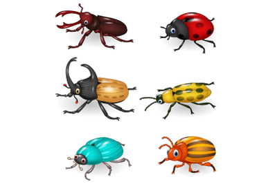Cartoon Beetle Vector Set