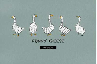 Funny geese