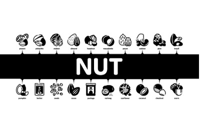 Nut Food Different Minimal Infographic Banner Vector