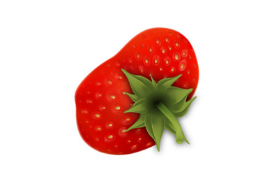 Strawberry Fruit With Green Leaves Top View Vector