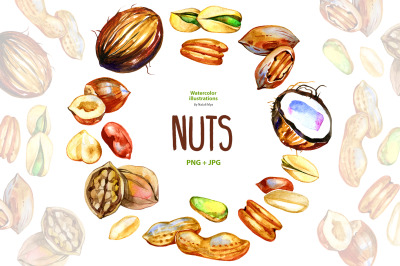 Watercolor nuts