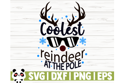 Coolest Reindeer At The Pole