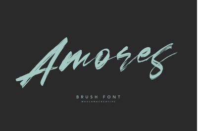 Amores Brush Signature Handmade Font Typeface