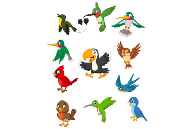 Cartoon Birds Vector Set