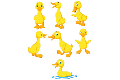 Cartoon Baby Ducks Vector Set