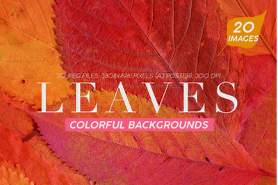 20 Colorful Leaves Backgrounds