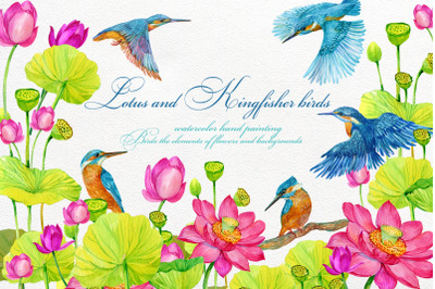 Kingfisher and Lotus flowers ClipArt