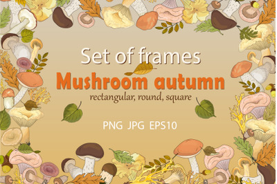 Set of autumn frames with forest mushrooms.