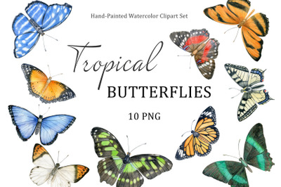 Watercolor hand drawn tropical butterflies. Individual clipart PNG.
