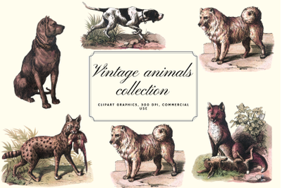 Vintage antique dogs clip art graphics, Retro wolfs graphics