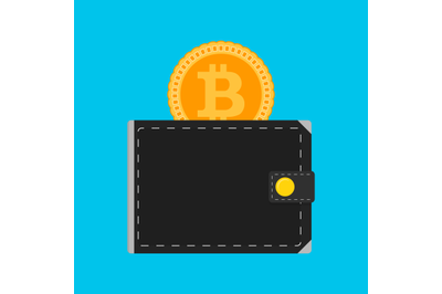 Bitcoin wallet isolated flat