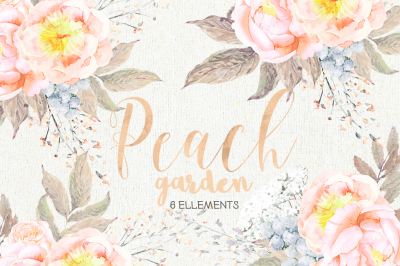 Peach Peonies - Watercolor Floral