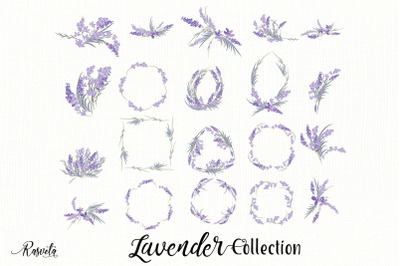 Lavender Plant Flowers Clipart