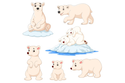 Cartoon Polar Bear Bundles