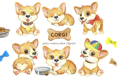 Puppies CORGI Watercolor dog clipart. Pets clip art funny dogs animals